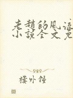 老赵的风流人生小说全文免费阅读