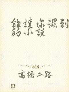 能让你湿到不行的小说