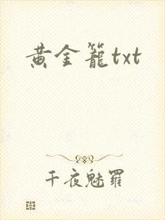 黄金笼txt