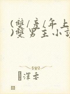 (双/产/年上)双男主小说