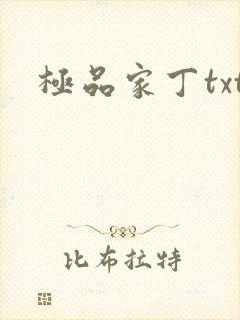 极品家丁txt