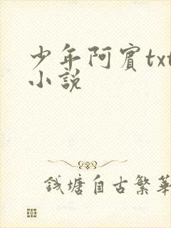 少年阿宾txt小说
