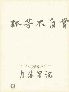 孤芳不自赏小说