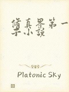 修真界第一病秧子小说