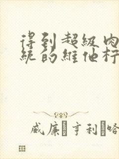 得到超级肉禽系统的维他柠檬茶