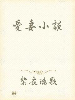 爱妻小说