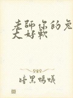 老师你的兔子好大好软