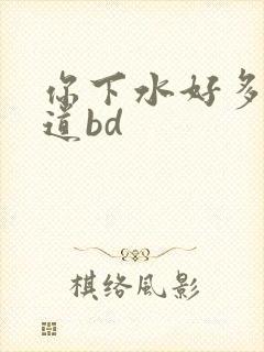 你下水好多下水道bd