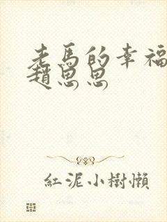 老马的幸福生活赵思思