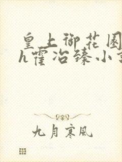 皇上御花园hlh霍冶臻小说