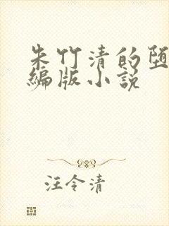 朱竹清的堕落改编版小说