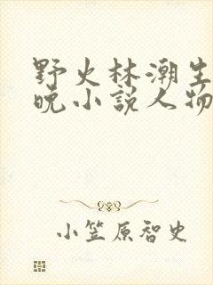野火林潮生林晚晚小说人物野火