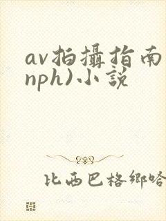 av拍摄指南(nph)小说
