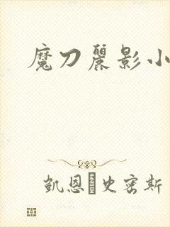 魔刀丽影小说