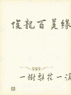 俊龙百美缘小说