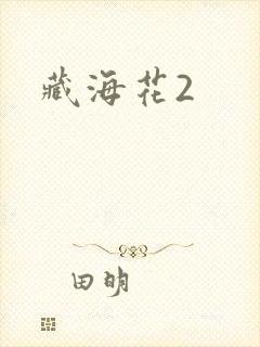 藏海花2