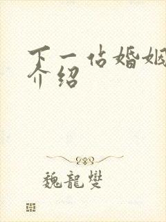 下一站婚姻剧情介绍