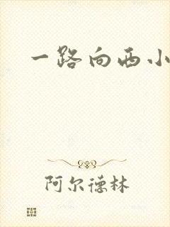 一路向西小说