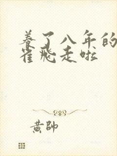 养了八年的金丝雀飞走啦