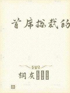 首席总裁的逃妻