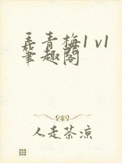 弄青梅1 v1笔趣阁