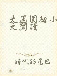 大团圆结小茹全文阅读