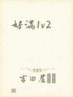 好满1v2