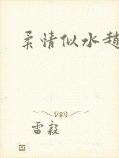 柔情似水赵雅儿