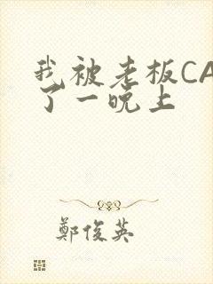 我被老板CAO了一晚上