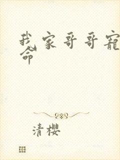 我家哥哥宠妹如命