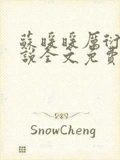 苏暖暖厉衍琛小说全文免费阅读