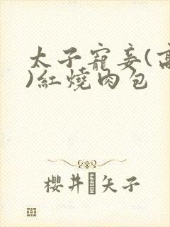 太子宠妾(高肉)红烧肉包