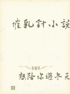 催乳针小说