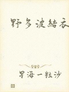 野多波结衣