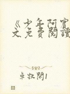 《少年阿宾》全文免费阅读