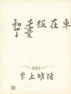 和老板在车里做了爱