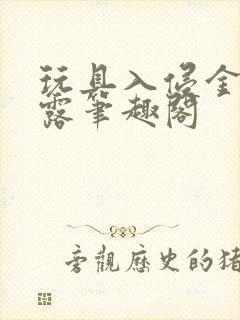 玩具入侵金银花露笔趣阁