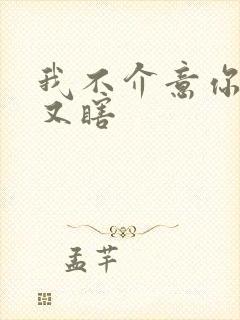 我不介意你又丑又瞎