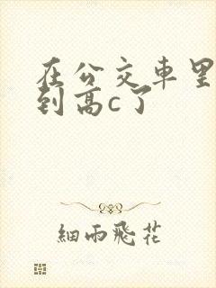 在公交车里c弄到高c了