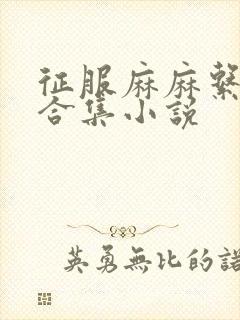 征服麻麻系列大合集小说