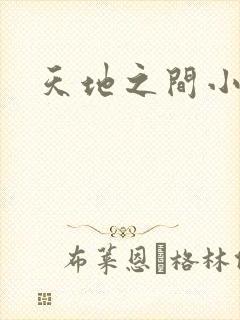 天地之间小说