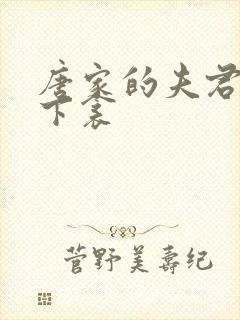 唐家的夫君们帘下衾