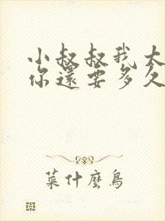 小叔叔我太累了你还要多久