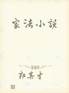 家法小说
