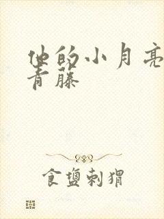 他的小月亮by青藤