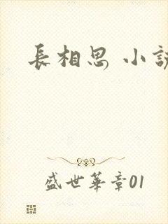 长相思 小说