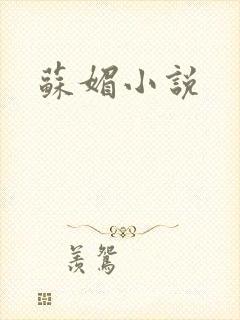 苏媚小说