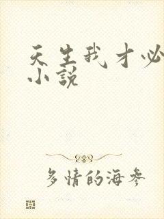 天生我才必有用小说