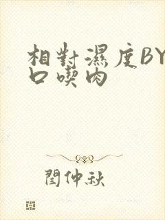 相对湿度BY大口吃肉