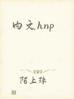 肉文hnp